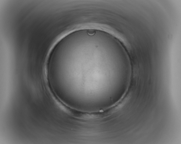X0000114501517200910191240