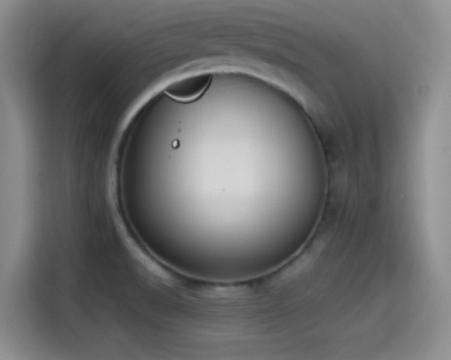 X0000114501518200910191240
