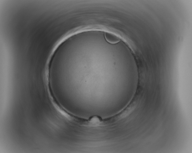 X0000114501519200910191240