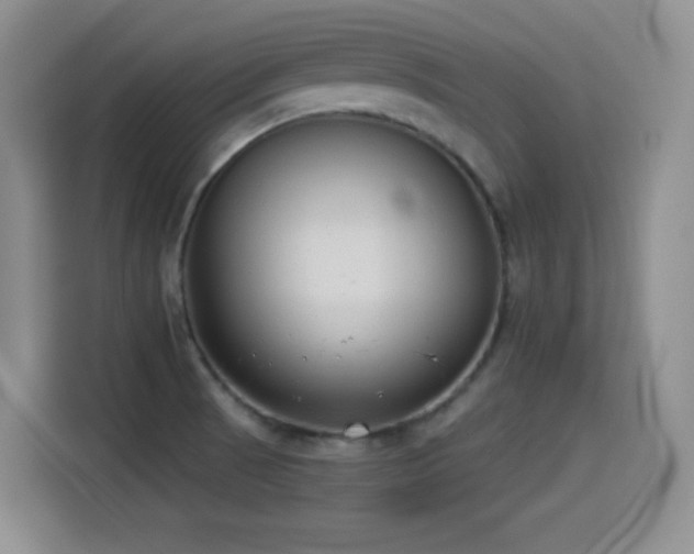 X0000114501521200910191240