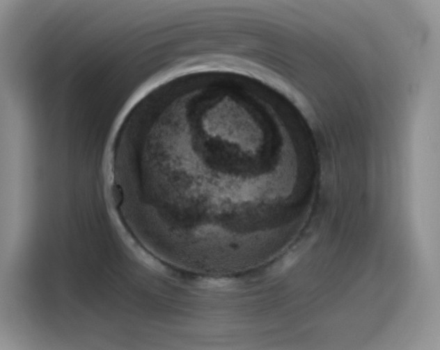 X0000114501522200910191240