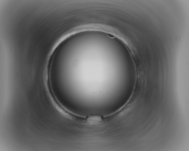X0000114501523200910191241