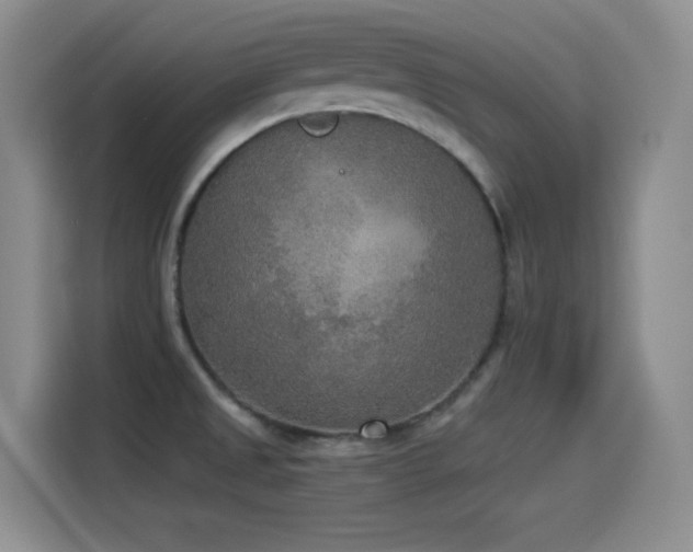 X0000114501525200910191241