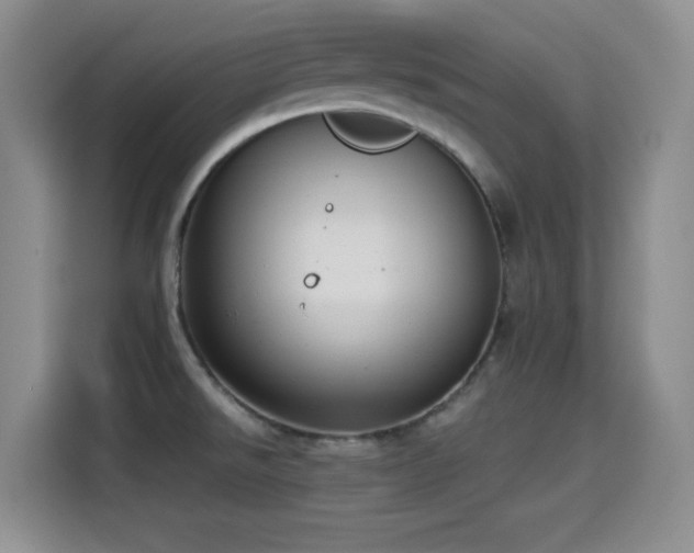 X0000114501526200910191241