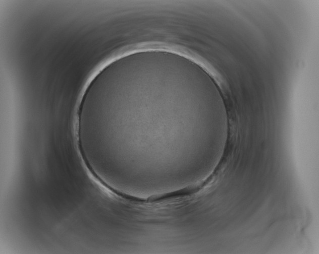 X0000114501527200910191241