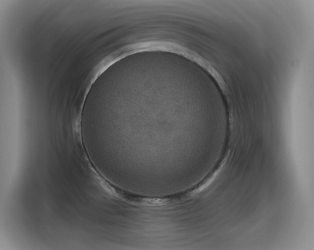 X0000114501529200910191241
