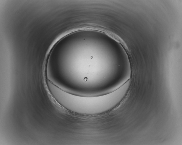 X0000114501530200910191241