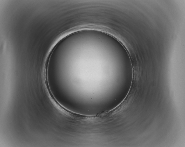 X0000114501531200910191241