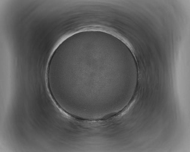 X0000114501533200910191241
