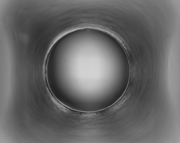 X0000114501535200910191241