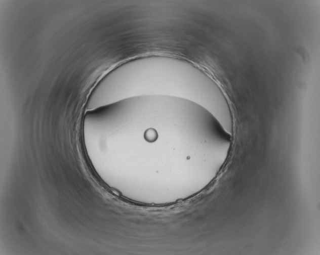 X0000114500001200911091119