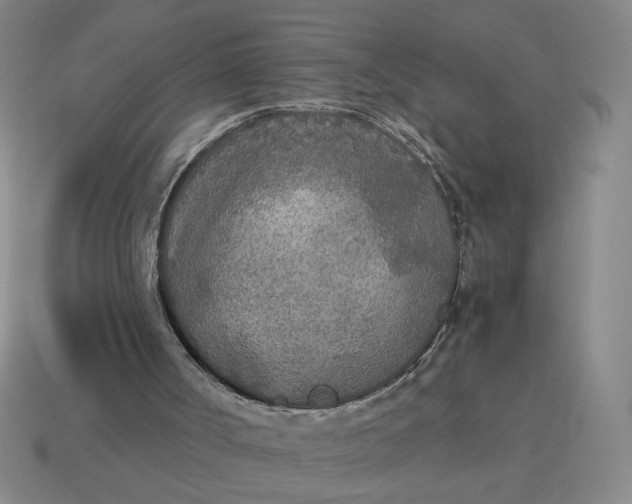 X0000114500002200911091119