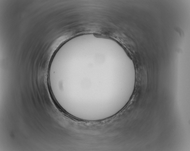 X0000114500003200911091119