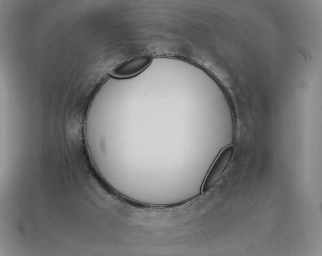 X0000114500009200911091119