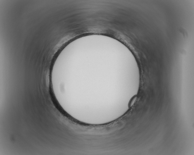X0000114500011200911091119