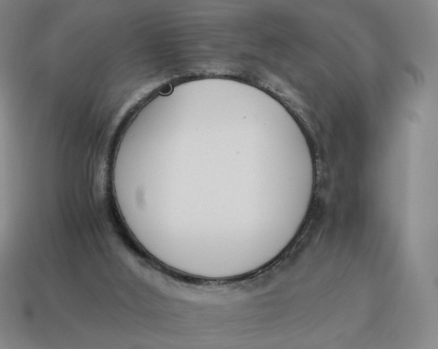 X0000114500012200911091119