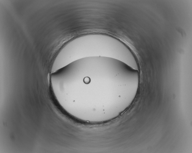 X0000114500013200911091119