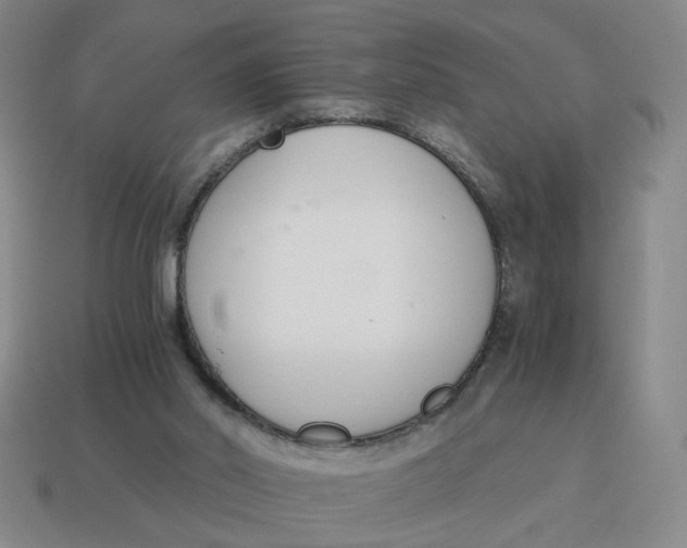 X0000114500014200911091119