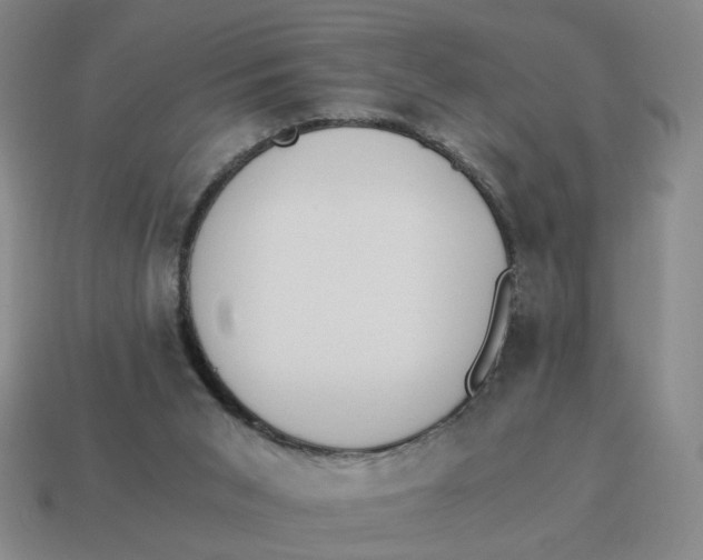 X0000114500015200911091119