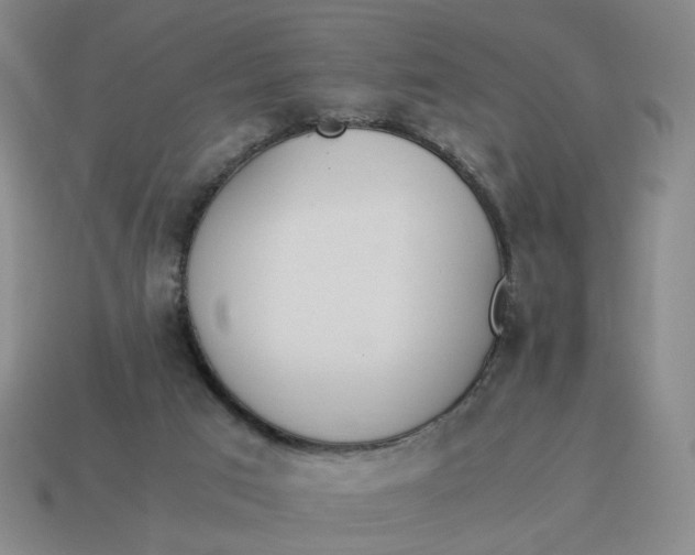 X0000114500017200911091119