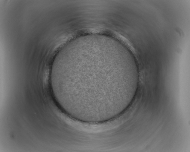 X0000114500018200911091119