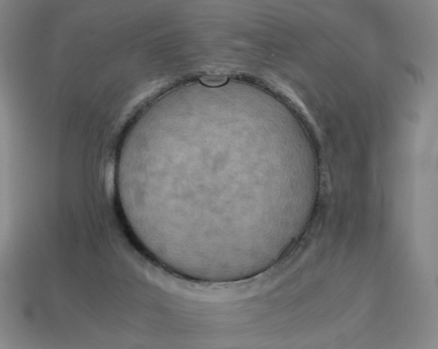 X0000114500019200911091119
