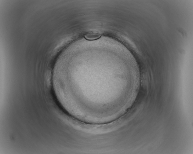 X0000114500023200911091118