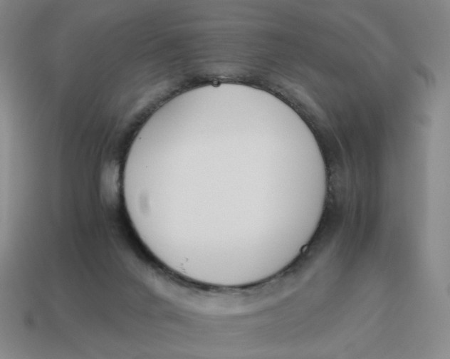 X0000114500024200911091118