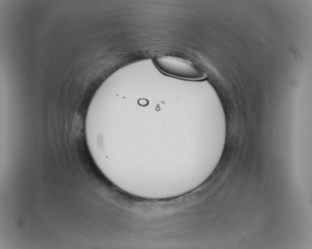 X0000114500025200911091118