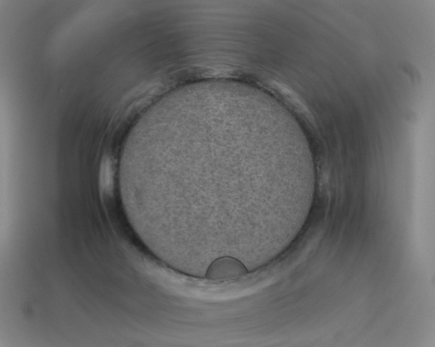 X0000114500026200911091118