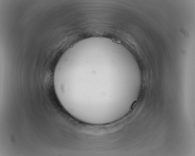 X0000114500029200911091118