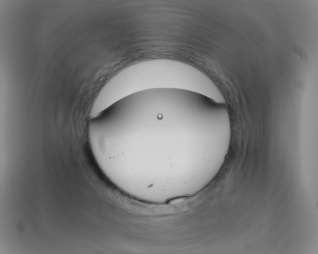 X0000114500031200911091118
