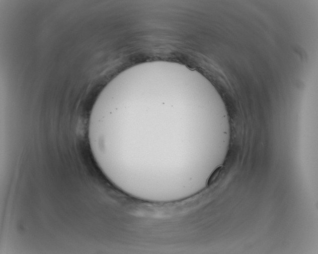 X0000114500033200911091118
