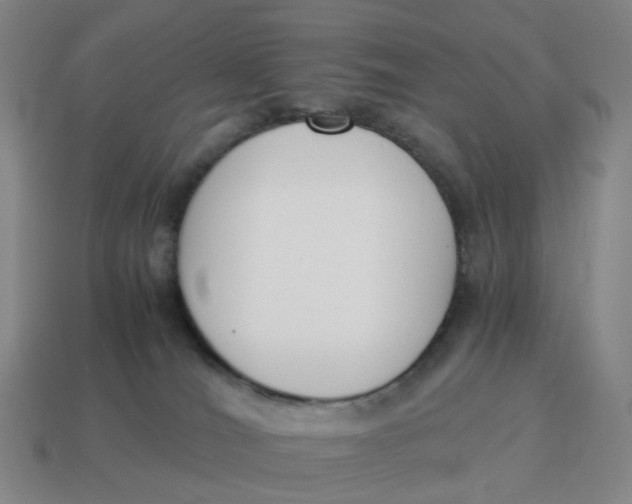 X0000114500036200911091118