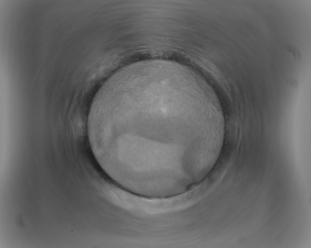 X0000114500039200911091118