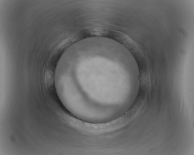 X0000114500043200911091118