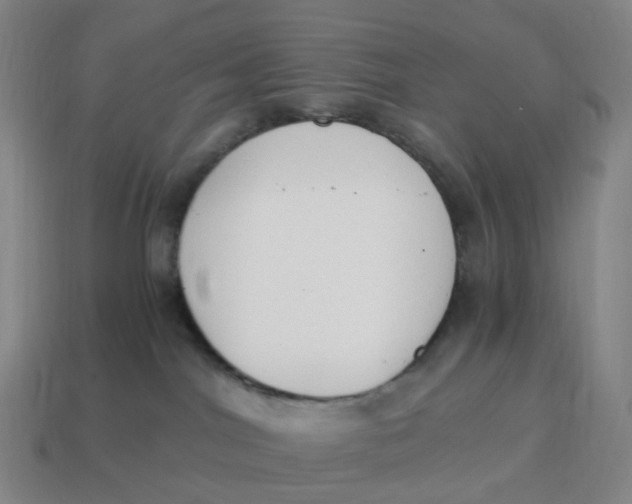 X0000114500044200911091118