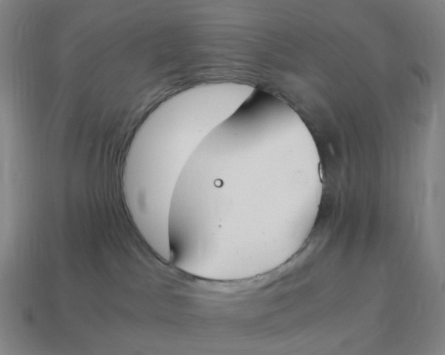 X0000114500045200911091118