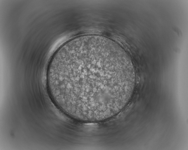 X0000114500053200911091118