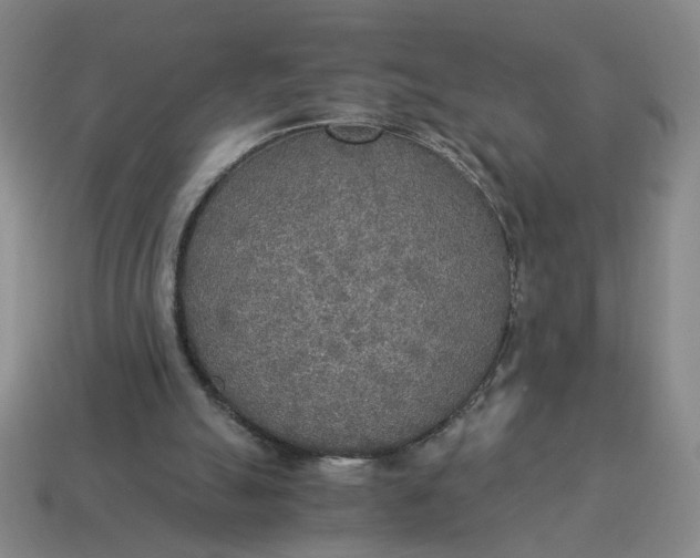 X0000114500055200911091118