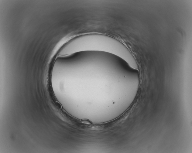 X0000114500056200911091118