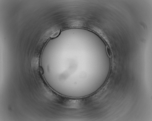 X0000114500057200911091118