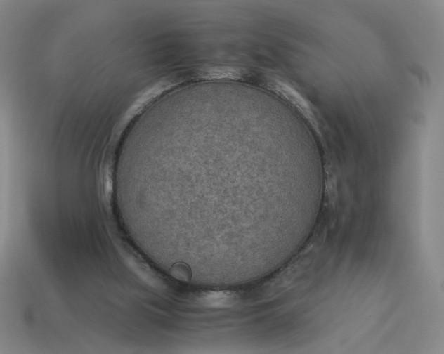 X0000114500059200911091118