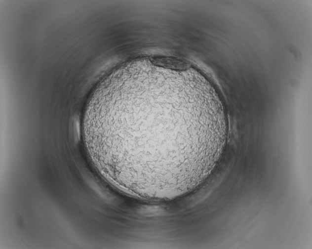 X0000114500061200911091118