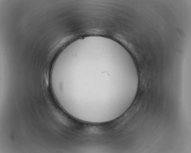 X0000114500062200911091118