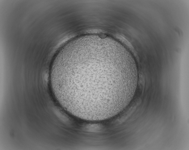 X0000114500063200911091118