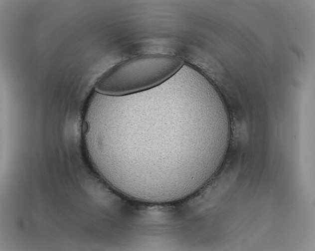 X0000114500064200911091118