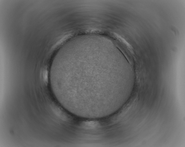 X0000114500067200911091118