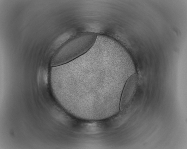 X0000114500068200911091118