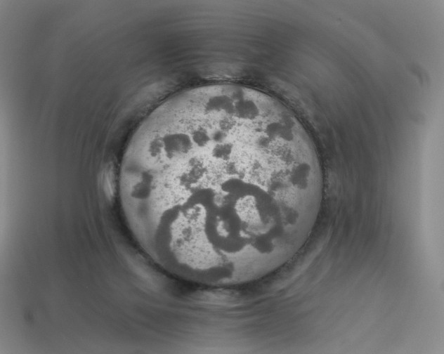 X0000114500069200911091118